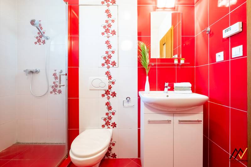 Badezimmer in einer 2-Zimmer-Wohnung mit roten Fliesen und einer Dusche, verziert mit Blumenmuster.