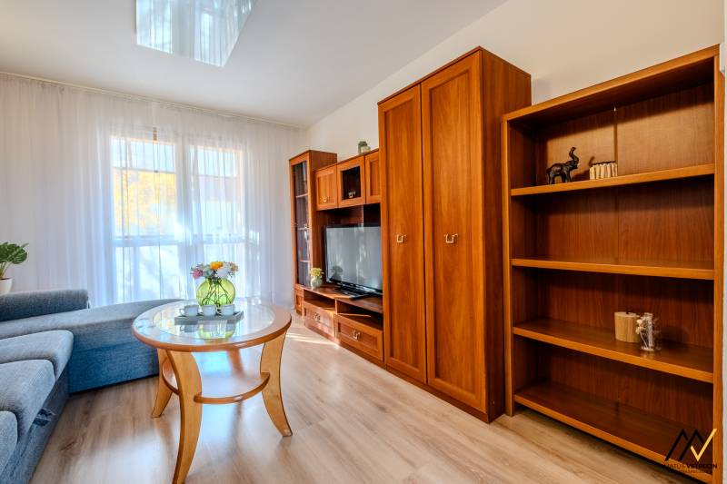 Wohnzimmer in einer 2-Zimmer-Wohnung mit Sofa, Holzboden und Möbeln.