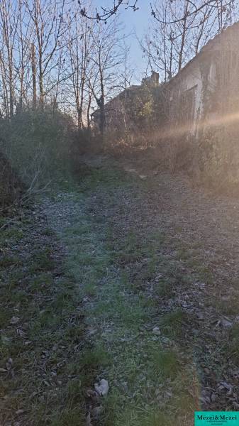 Die Zufahrtsstraße zur Hütte in Suchá nad Parnou, umgeben von Bäumen und Sträuchern.