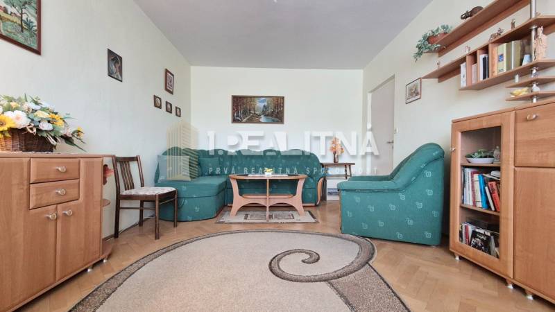 Wohnzimmer in einer 2-Zimmer-Wohnung mit Sofa, Teppich und Möbeln in Holzoptik.