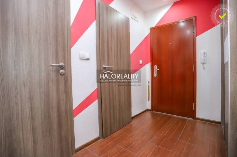 Eingangsbereich in einer 3-Zimmer-Wohnung mit Holzboden und farbiger Wand.