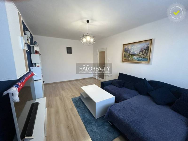 Wohnzimmer in einer 2-Zimmer-Wohnung mit Holzboden und ausziehbarem Sofa.