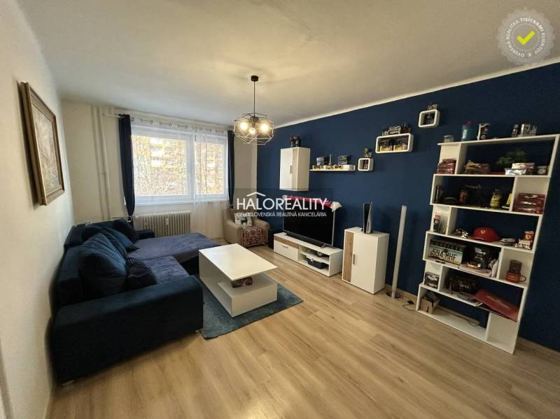 Wohnzimmer mit dunkelblauer Wand, Sofa, Holzboden und Möbeln in einer Zweizimmerwohnung.