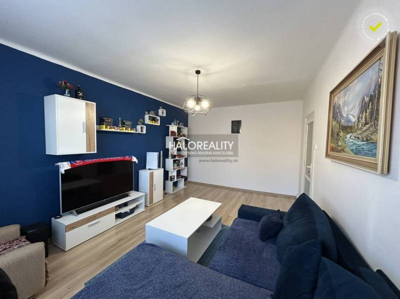 Helles Wohnzimmer in einer 2-Zimmer-Wohnung, blaue Wand, Sofa, Fernseher und Boden mit Holzdekor.