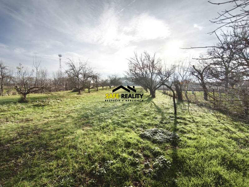 Garten bei einem Einfamilienhaus in Lúčnica nad Žitavou mit Bäumen und Rasenfläche.