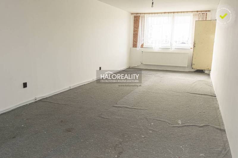 Ein leerer Geschäftsraum mit Teppichboden und einem großen Fenster, helle Wände.