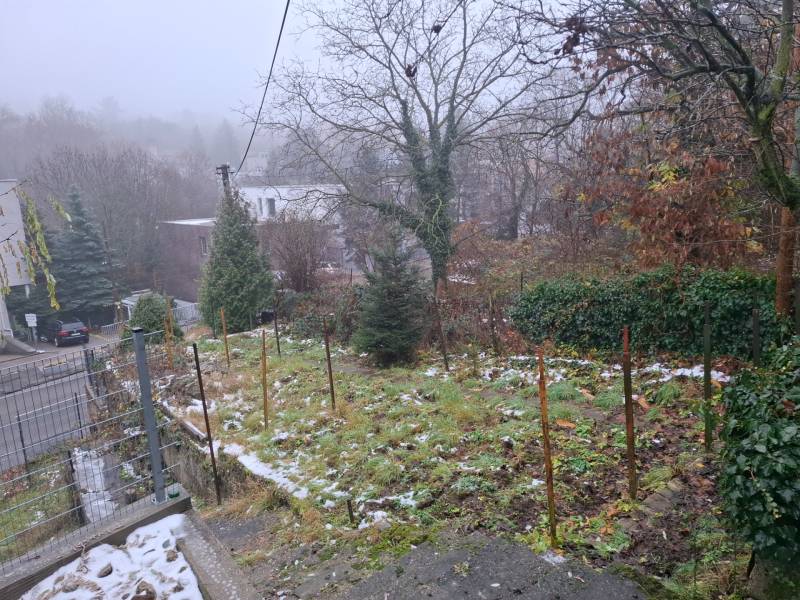 Ein grüner Garten bei einem Einfamilienhaus in der Búdková-Straße in Bratislava - Altstadt.