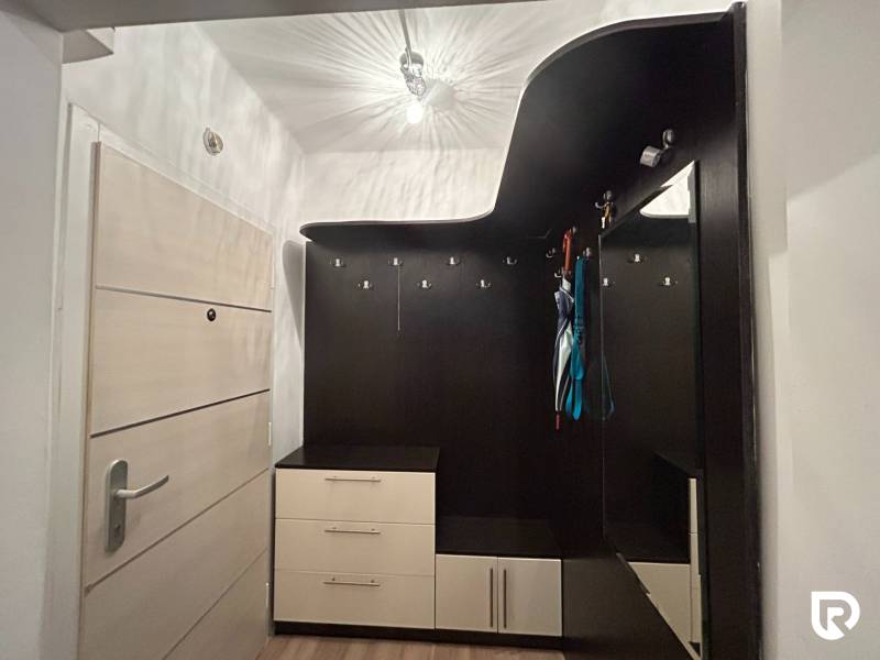 Eingangsbereich mit praktischer Möbellösung in einer Einzimmerwohnung mit Holzboden.