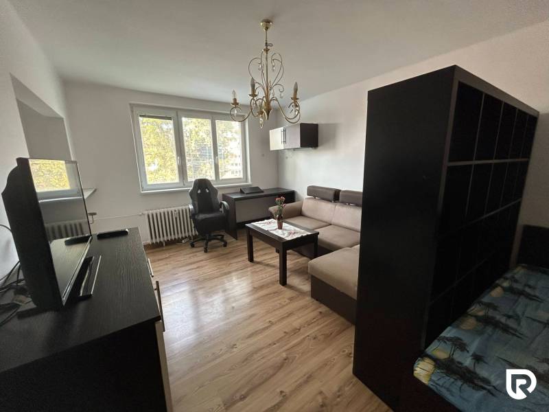 Wohnzimmer in einer Einzimmerwohnung mit Sofa, Tisch und Holzboden.