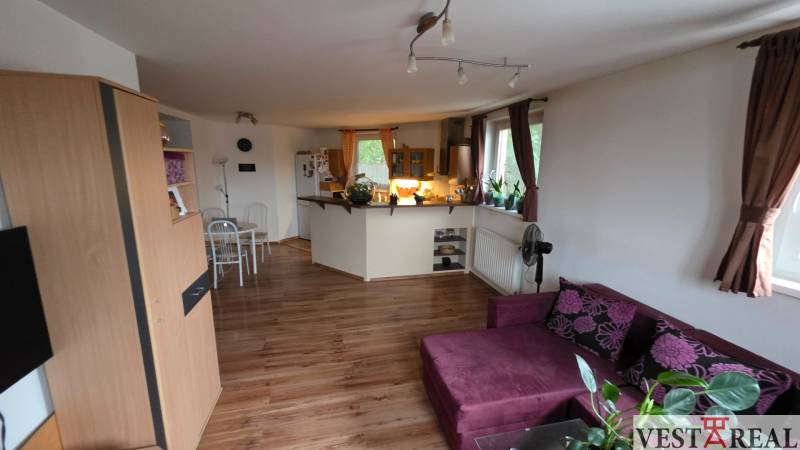 Wohnzimmer mit Küche in einer 3-Zimmer-Wohnung mit Holzboden.