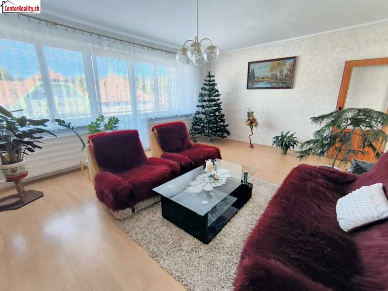 Wohnzimmer in einem Einfamilienhaus mit Sofa, Teppich, Pflanzen, Bild und Holzboden.