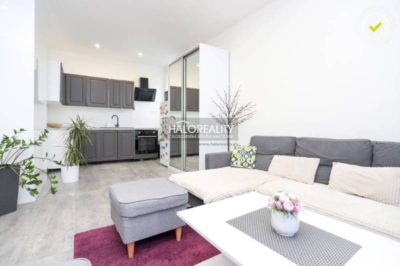 Wohnzimmer in einer 2-Zimmer-Wohnung mit Küchenzeile und Boden in Holzoptik.