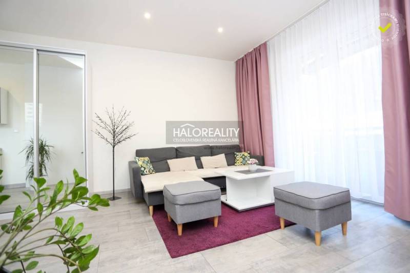 Wohnzimmer in einer Zweizimmerwohnung mit Sofa, Couchtisch und Pflanzen.