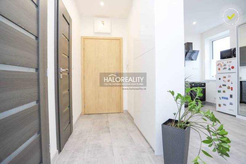 Flur in einer 2-Zimmer-Wohnung mit Fliesen, Holztüren und einer Pflanze im Blumentopf.