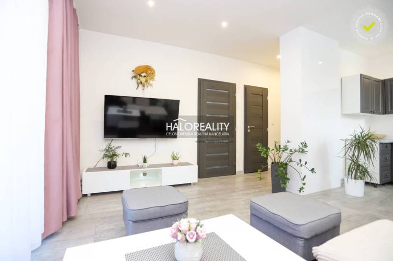 Wohnzimmer in einer 2-Zimmer-Wohnung mit Fernseher, Pflanzen und einem Boden in Holzoptik.