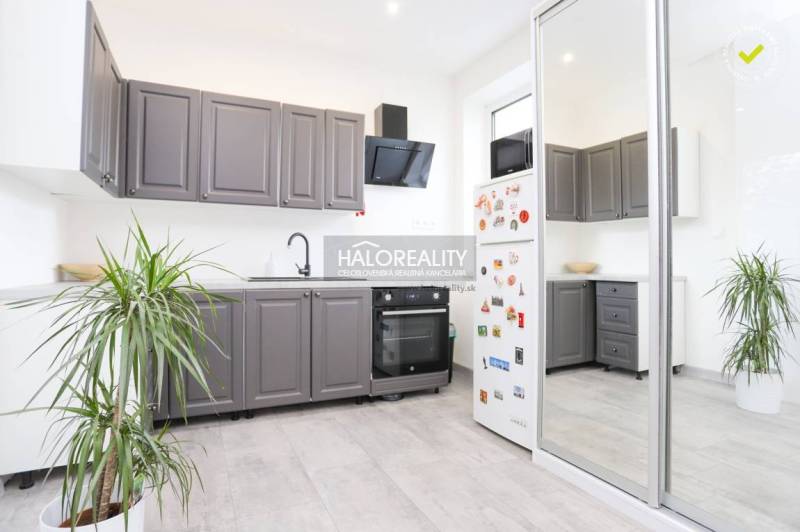 Küche in einer 2-Zimmer-Wohnung mit weißen Wänden, grauen Schränken und einer Pflanze.