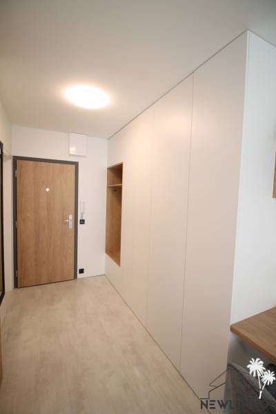 Eingangsbereich einer Einzimmerwohnung mit Holzboden und Holztüren.