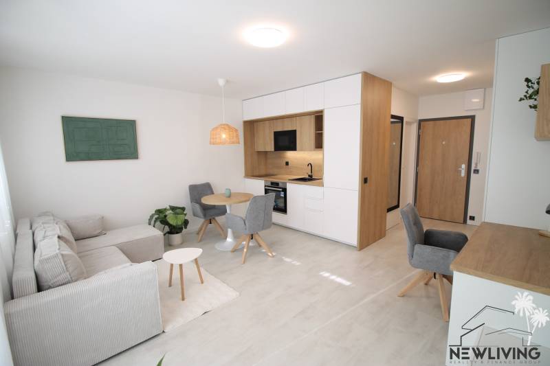 Innenraum einer Einzimmerwohnung mit Küchenzeile, grauem Sofa und Esstisch.