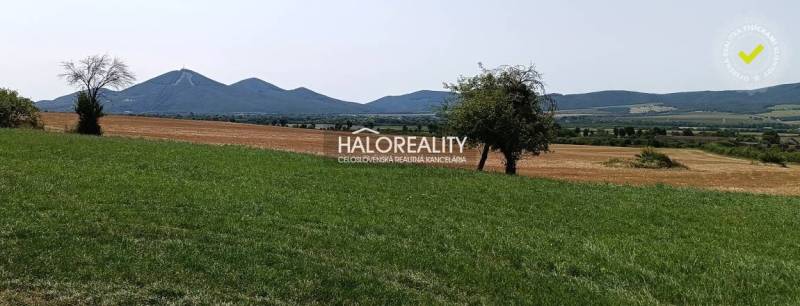 Grünland und landwirtschaftliche Flächen in der Umgebung der Stadt Čerhov, ideal zum Wohnen.