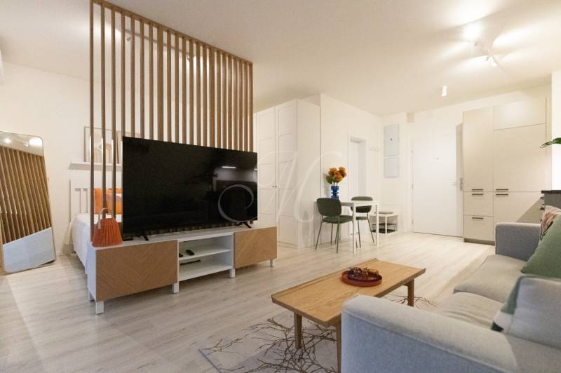 Helles Wohnzimmer in einer Einzimmerwohnung mit Holzwand und Fernseher, Boden mit Holzdekor.