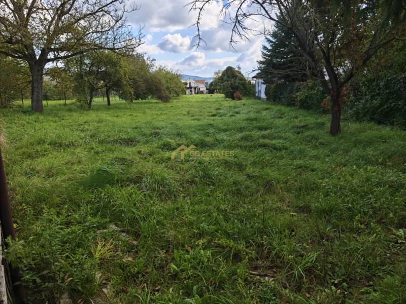 Grünflächen und Bäume auf einem Wohngrundstück an der Straße Malá Domaša, Vranov nad Topľou.
