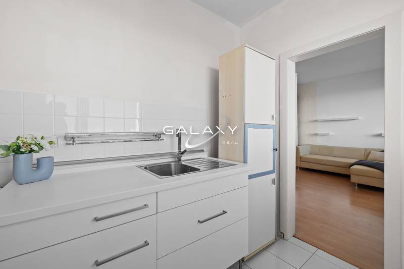 Küche in einer Einzimmerwohnung mit weißen Küchenschränken und Blick ins Wohnzimmer.