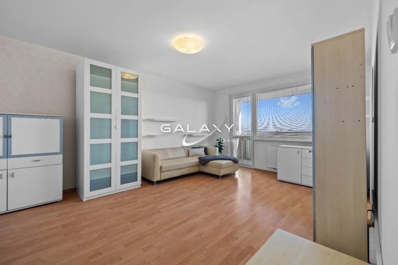 Wohnzimmer in einer Einzimmerwohnung mit Holzboden, Sofa und Vitrine.