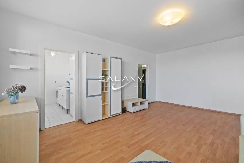 Wohnzimmer in einer Einzimmerwohnung mit Holzboden und Einbauschränken.