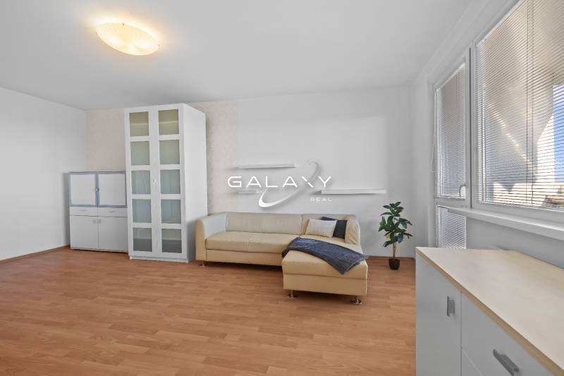 Helles Wohnzimmer in einer Einzimmerwohnung mit Sofa, Vitrine und Holzboden.