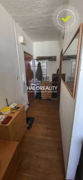 Eingangsflur in einer Einzimmerwohnung mit Holzboden, Spiegel und Stauraum.