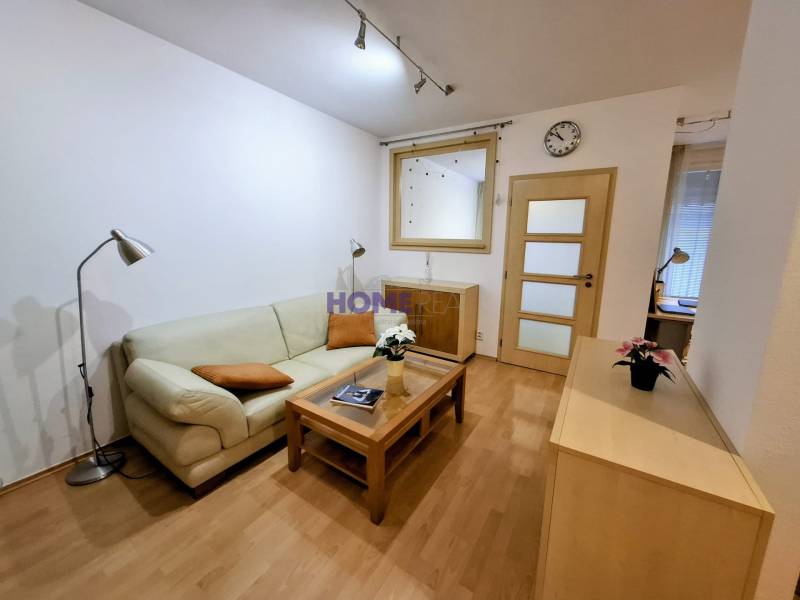 Wohnzimmer in einer Zweizimmerwohnung mit Sofa, Lampe und Holzboden.