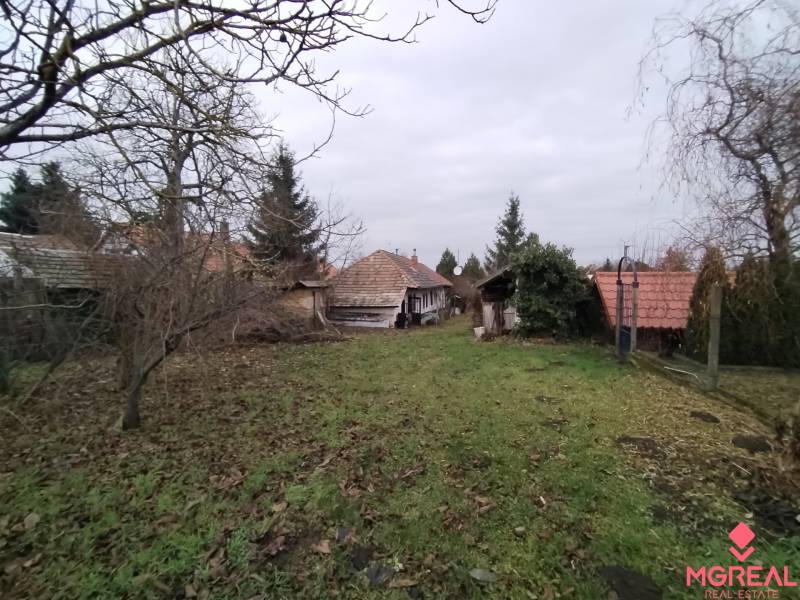 Ein Garten bei einem Einfamilienhaus in Dolný Pial mit Rasen und Obstbäumen.
