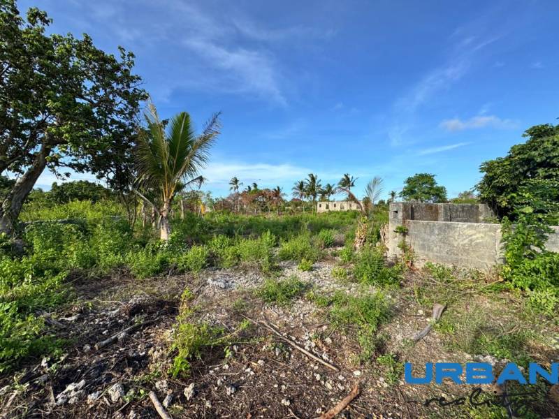 Grundstücke - Gewerbe in Kizimkazi mit üppigem Grün und Palmen.