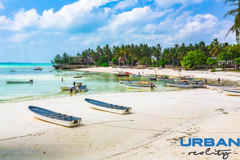Strand mit Booten und Palmen in Kizimkazi, ideal für Gewerbegrundstücke.