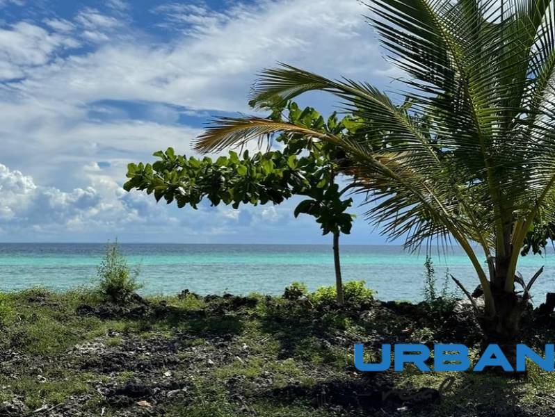 Die Küste in Kizimkazi eignet sich für Grundstücke - kommerziell mit Blick auf den Ozean und Palmen.