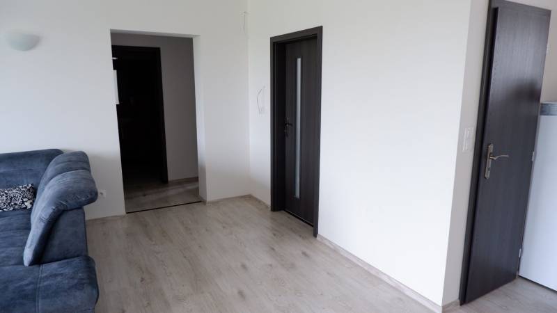 Innenraum eines Einfamilienhauses mit Sofa, Holzboden und dunklen Türen.