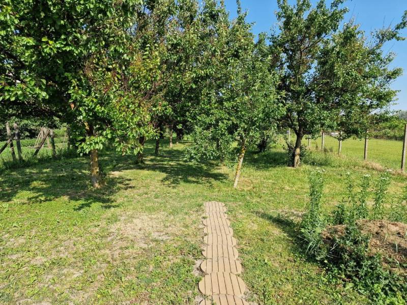 Ein Garten im Einfamilienhaus in Dlhá nad Váhom mit Obstbäumen und Rasen.