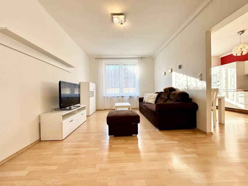 Wohnzimmer in einer 2-Zimmer-Wohnung mit Sofa, Fernseher und Holzboden.