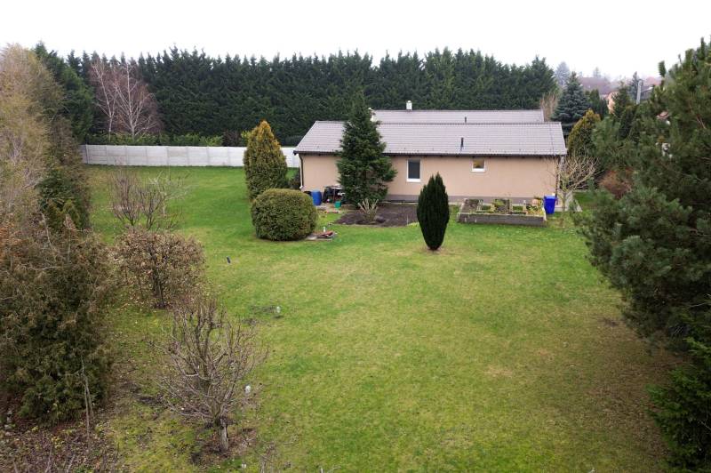 Ein Einfamilienhaus in der Hauptstraße in Kvetoslavov, umgeben von einem großen Garten und Nadelbäumen.