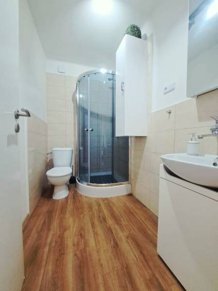 Badezimmer in einem Einfamilienhaus mit Toilette, Duschkabine und Bodenbelag in Holzoptik.