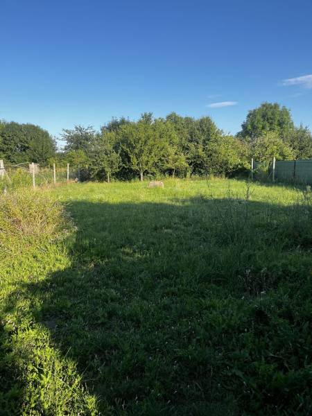Ein Garten bei einem Einfamilienhaus in Diakovce mit üppigem Gras und grünen Sträuchern.