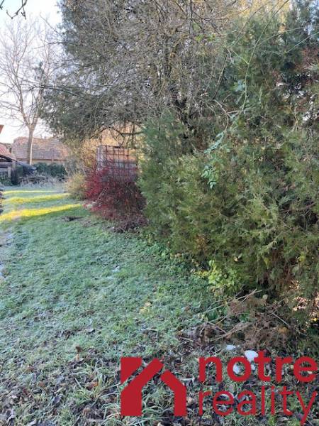Der Garten des Einfamilienhauses in Tomášovce mit dichter Vegetation und Rasenfläche.
