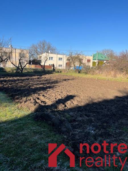 Ein Obstgarten in Tomášovce bei Einfamilienhäusern an einem klaren Tag.