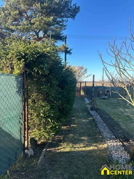 Gärten in der Neusiedlung Komárno, Zaun mit grünen Nadelbäumen und ein Steinweg.