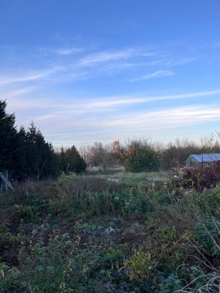 Garten bei einem Einfamilienhaus in Kajal mit Grün und blauem Himmel.