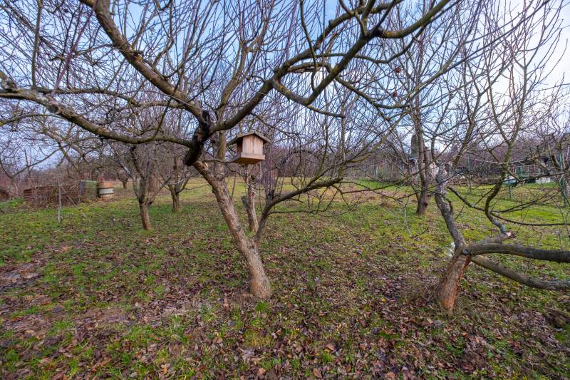 Der Garten bei der Hütte in Prešov mit einem Vogelhäuschen, das an einem Baum hängt.