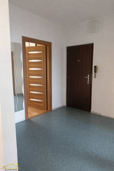 Eingangsflur in einer 3-Zimmer-Wohnung mit Holztürdekor und Spiegel.