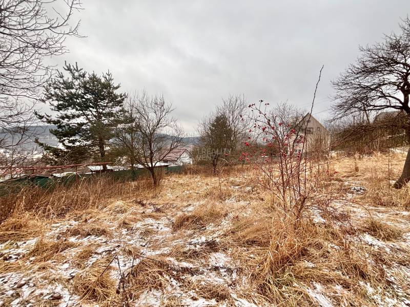 Ein verschneites Feld und Bäume bei einem Einfamilienhaus in Poľana in Skalité.