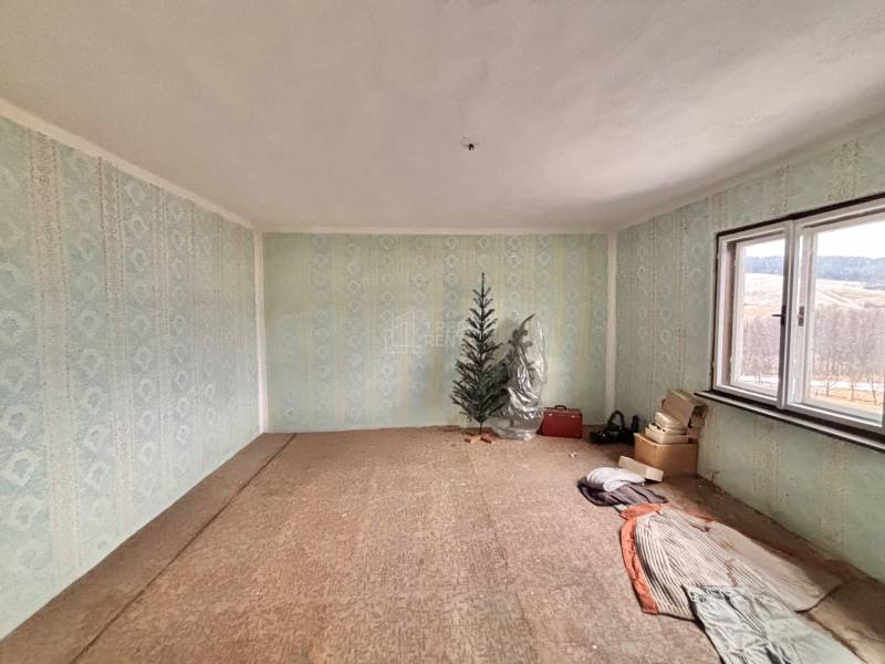 Ein Zimmer in einem Einfamilienhaus mit blauen Tapeten, einem Baum, einem Fenster und gelagerten Gegenständen.