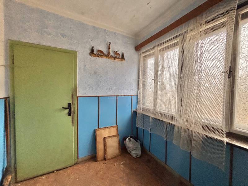 Innenraum eines Einfamilienhauses mit Holzboden, blauen Wänden und grünen Türen.